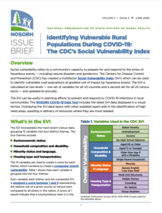  Identifying Vulnerable Rural Populations During COVID-19: The CDC’s Social Vulnerability Index 
