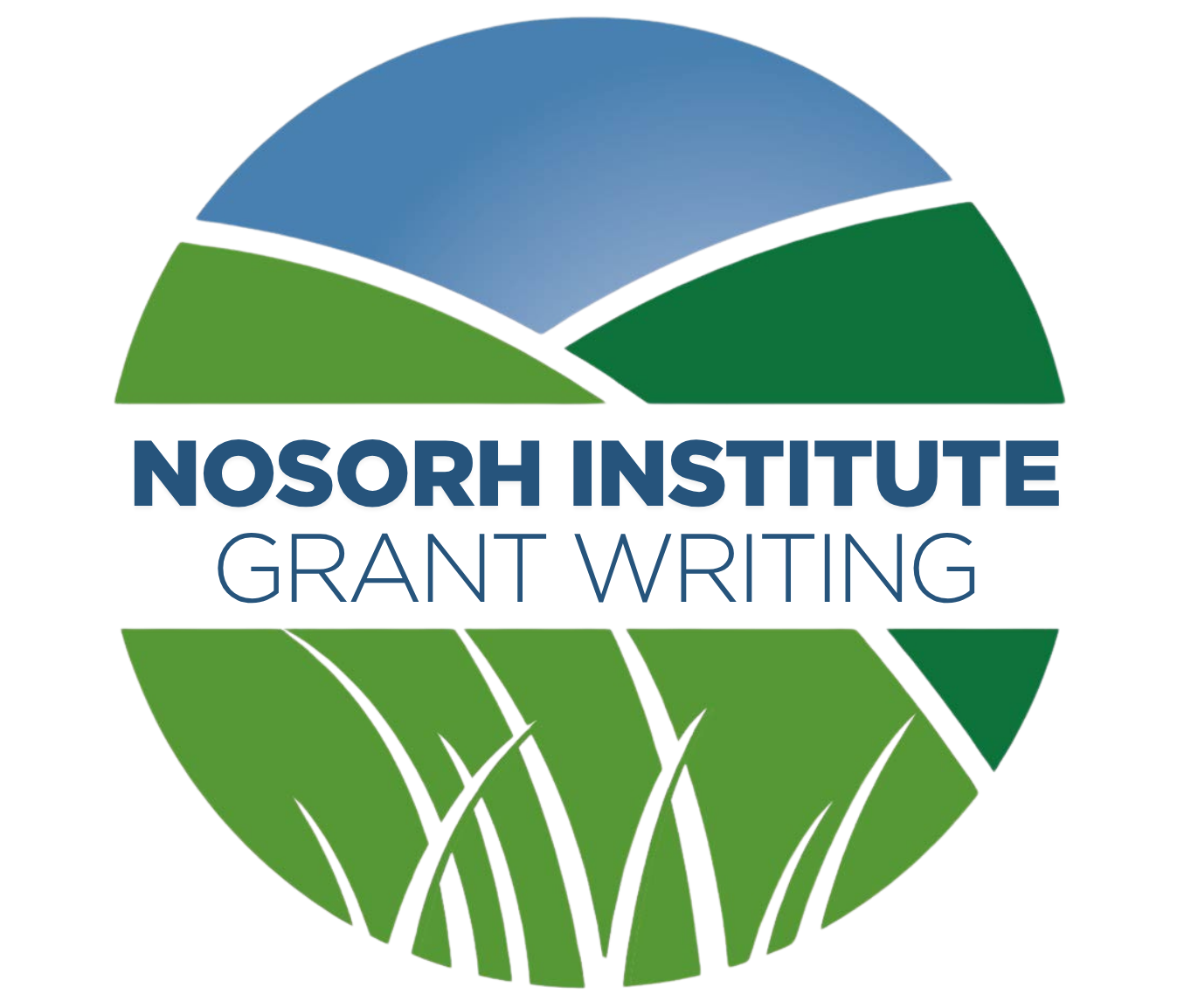 NOSORH Grant Writing Institute